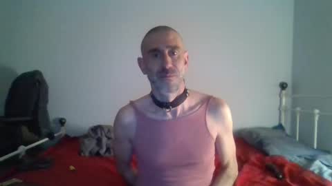 Snapshot of nirevess chatting on December 9, 2024, 8:23 pm nirevess online show from December 9, 2024, 8:23 pm