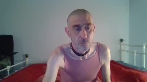 Snapshot of nirevess chatting on January 1, 2025, 2:52 pm nirevess online show from January 1, 2025, 2:52 pm