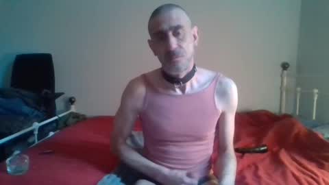 Snapshot of nirevess chatting on February 11, 2025, 2:57 pm nirevess online show from February 11, 2025, 2:57 pm