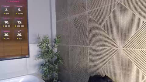 noah_dupont_ online show from February 22, 2026, 11:53 am