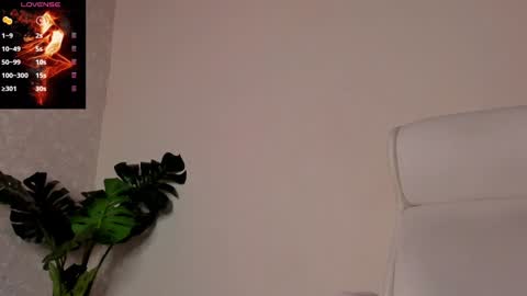 Snapshot of noahcrux chatting on December 30, 2024, 6:27 pm Noah online show from December 30, 2024, 6:27 pm