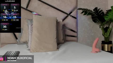 Snapshot of noahcrux chatting on January 11, 2025, 6:44 pm Noah online show from January 11, 2025, 6:44 pm