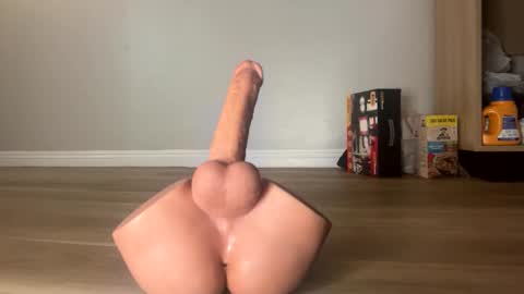 nocturnalhabits online show from October 26, 2025, 9:21 pm