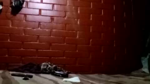 Snapshot of nocturnus1980 chatting on February 2, 2026, 7:29 am nocturnus1980 online show from February 2, 2026, 7:29 am