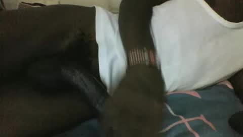 noella1234 online show from March 29, 2026, 11:16 pm