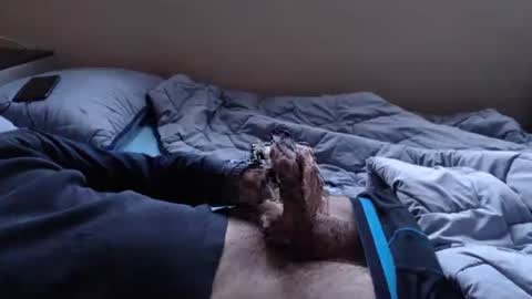 noksha online show from January 19, 2025, 3:10 pm