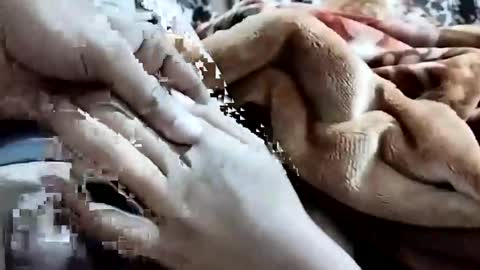 sim  nib online show from February 1, 2026, 1:15 am