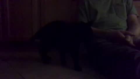 Snapshot of noodlekids chatting on January 16, 2026, 1:04 pm Noodles online show from January 16, 2026, 1:04 pm