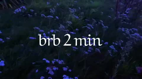 Noori online show from April 4, 2026, 10:07 pm