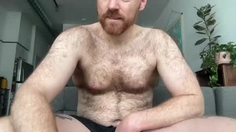 Snapshot of noplann chatting on February 22, 2025, 5:57 pm No Plan online show from February 22, 2025, 5:57 pm