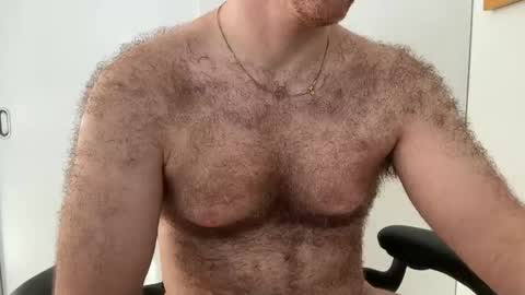 No Plan online show from February 1, 2026, 1:53 pm