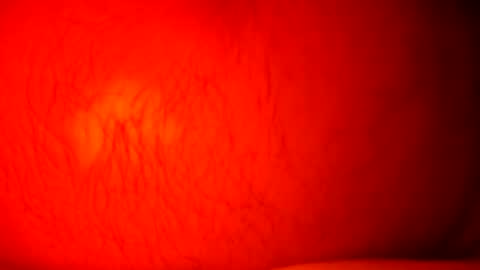 norbitomii online show from September 24, 2025, 10:57 pm