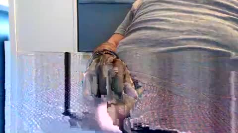 Snapshot of northern376854 chatting on September 23, 2025, 9:45 am northerndaddy online show from September 23, 2025, 9:45 am