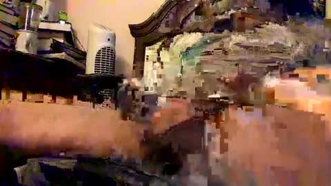 Snapshot of nothingclever1003 chatting on January 16, 2025, 7:38 am nothingclever1003 online show from January 16, 2025, 7:38 am