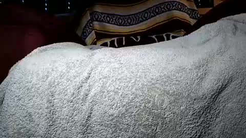 nottoobored online show from July 14, 2026, 2:05 am