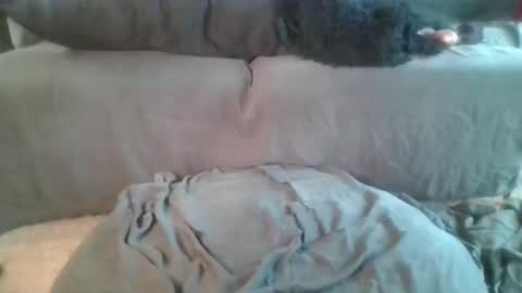 Snapshot of nova_kanee chatting on April 19, 2026, 6:10 pm Nova online show from April 19, 2026, 6:10 pm