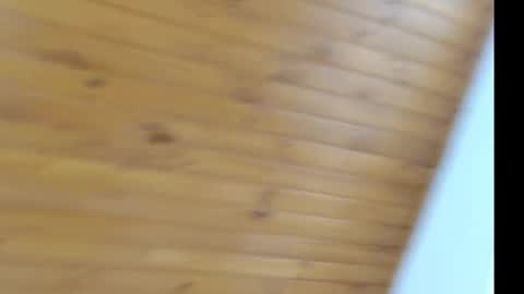 Snapshot of novaperotti chatting on March 12, 2025, 6:44 pm novaperotti online show from March 12, 2025, 6:44 pm