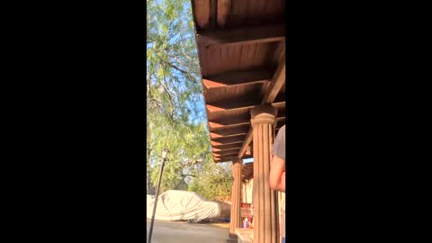 novasociaexperimenc online show from December 22, 2025, 10:51 pm