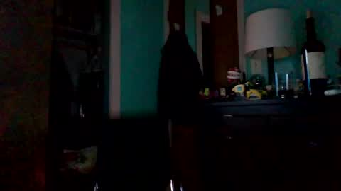 novatron6996 online show from February 20, 2025, 9:55 am