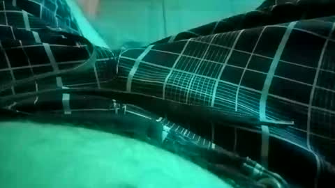 Snapshot of nuttyprofesir chatting on April 4, 2026, 1:19 pm NuttyProfesir online show from April 4, 2026, 1:19 pm