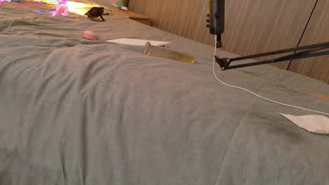 Your Ocean baby 3 online show from February 11, 2025, 1:09 pm