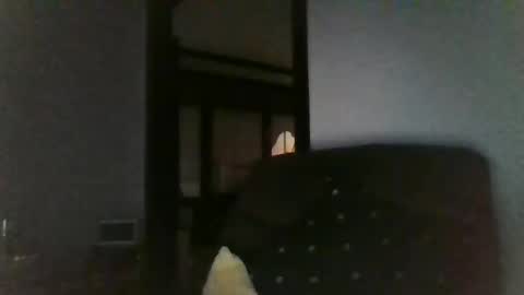 Officer online show from December 26, 2024, 7:45 am