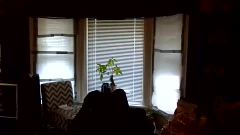 oscar flores online show from February 24, 2026, 1:42 pm