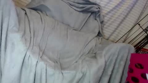 OGDigBick online show from February 1, 2025, 2:13 pm