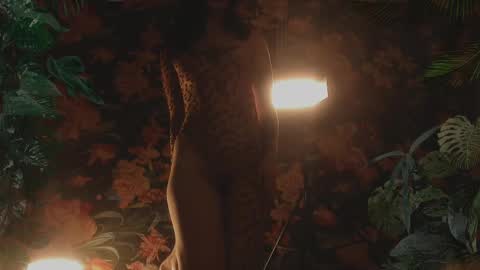 your dear Lilith Chapman online show from February 17, 2025, 11:09 pm