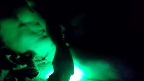 oibrev49 online show from March 21, 2026, 9:03 am