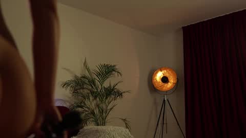    or    online show from February 10, 2025, 9:36 pm