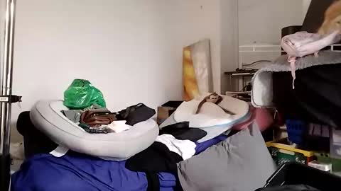 Snapshot of opalockajoe chatting on December 1, 2025, 9:36 am TsJojo online show from December 1, 2025, 9:36 am