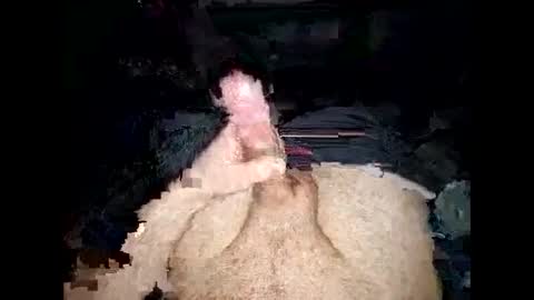 opelator online show from January 27, 2025, 6:20 pm