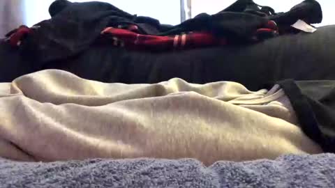 orgazim online show from November 15, 2025, 5:20 pm