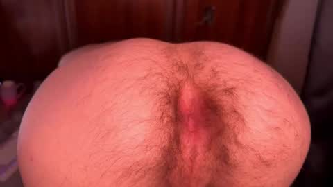 origamicat online show from October 13, 2025, 11:05 pm