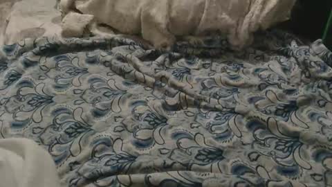 originalcali95 online show from February 2, 2026, 3:27 am