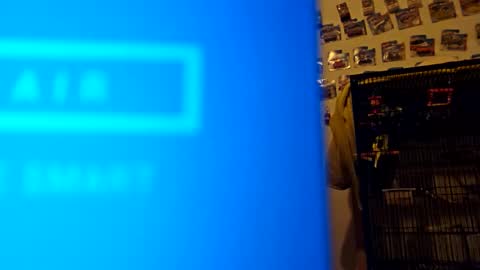 orlandovilla48 online show from November 18, 2025, 12:31 pm