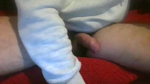 ornytologist online show from December 7, 2024, 9:39 am