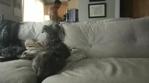 Snapshot of ossignol_xxx chatting on September 13, 2025, 4:29 pm rossignol online show from September 13, 2025, 4:29 pm