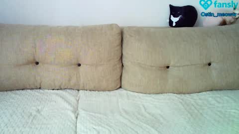 Snapshot of ostin_meoww chatting on March 8, 2025, 5:17 am Ostin online show from March 8, 2025, 5:17 am