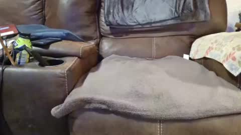 Snapshot of outdoorsmanmark71 chatting on December 19, 2024, 2:12 am outdoorsmanmark71 online show from December 19, 2024, 2:12 am