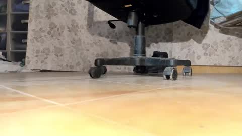 Snapshot of pablomenesssl chatting on December 17, 2025, 6:36 pm Pablo Meness online show from December 17, 2025, 6:36 pm