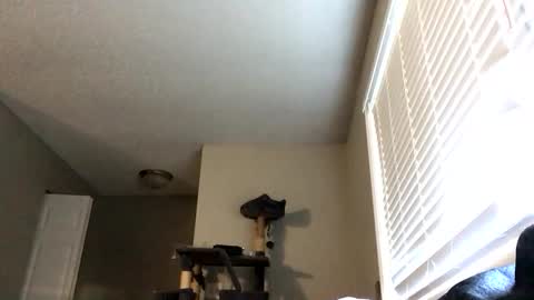 Snapshot of paigechantel chatting on February 19, 2026, 11:45 pm paigechantel online show from February 19, 2026, 11:45 pm