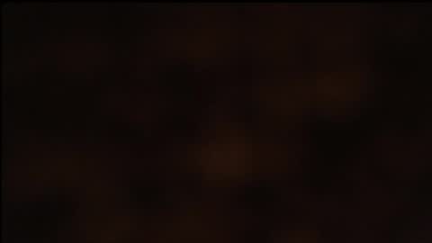 paiper online show from January 26, 2025, 10:23 am