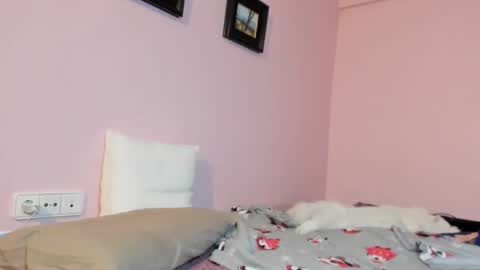 Snapshot of palaustudio chatting on January 17, 2025, 8:24 am Merce online show from January 17, 2025, 8:24 am