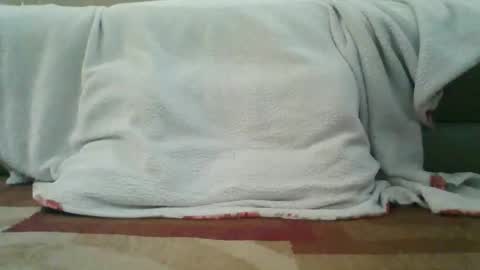 palmerwoodx online show from February 2, 2026, 5:33 pm