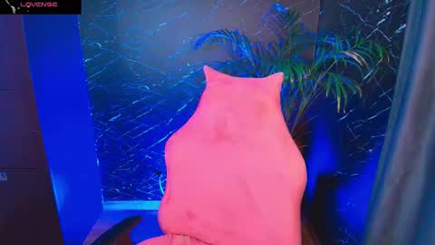 Snapshot of palo_santo06 chatting on February 5, 2026, 7:35 am Palo Santo online show from February 5, 2026, 7:35 am