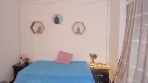 Snapshot of paloma_victory chatting on January 9, 2025, 8:22 pm Paloma online show from January 9, 2025, 8:22 pm