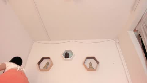 Snapshot of paloma_victory chatting on January 21, 2025, 8:32 pm Paloma online show from January 21, 2025, 8:32 pm