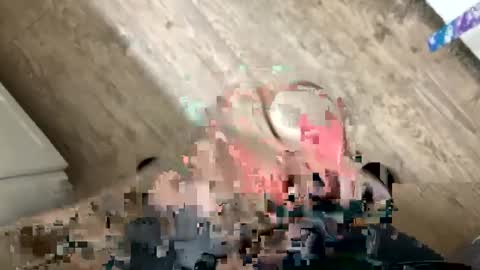 palote_69 online show from January 13, 2025, 8:04 pm